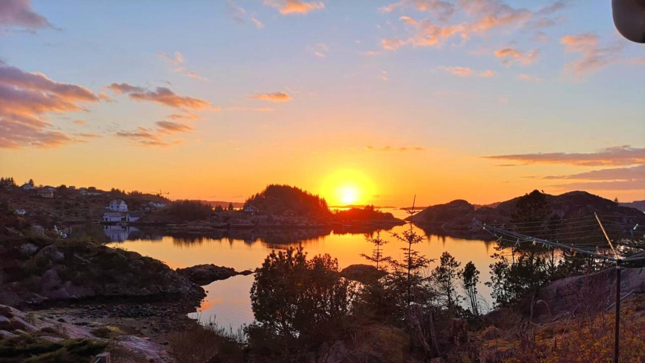 Apartament Kobbaneset Hk - Tett Pa Havet - Bekkjarvik Zewnętrze zdjęcie